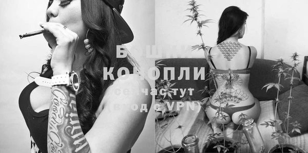 стафф Богородск
