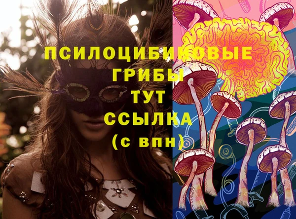 а пвп мука Богородицк